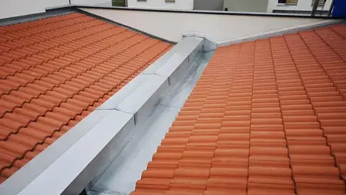 demoussage toiture à Yerres - image 2